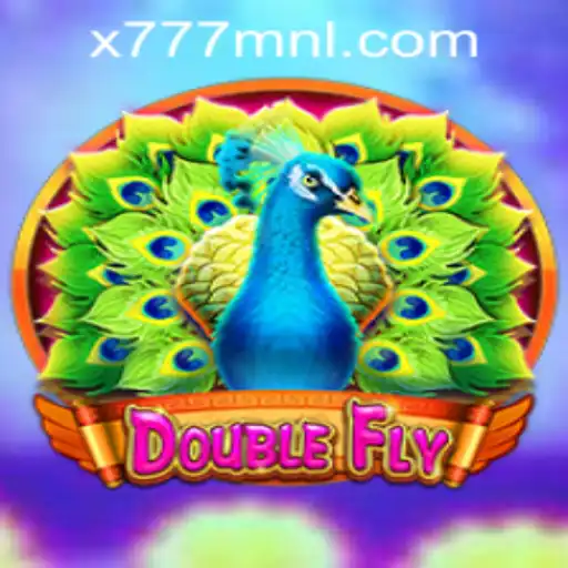 DoubleFly: Soaring Through the Digital Skies